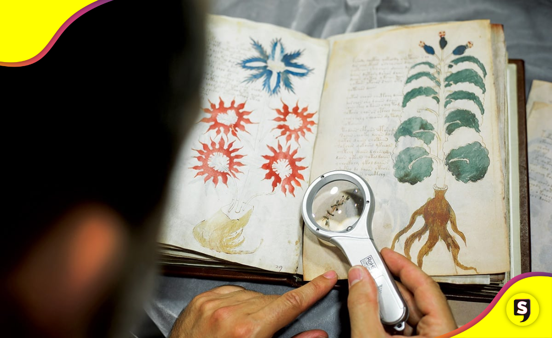 Manuscrito Voynich