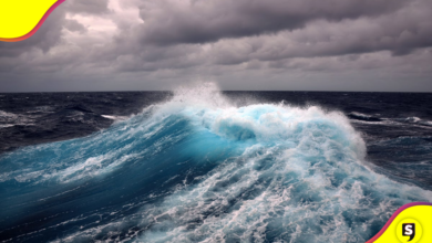 el mar