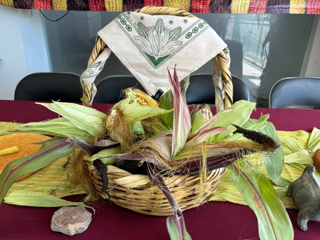 festival del maíz