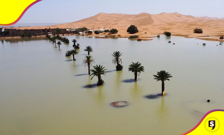 del Sahara