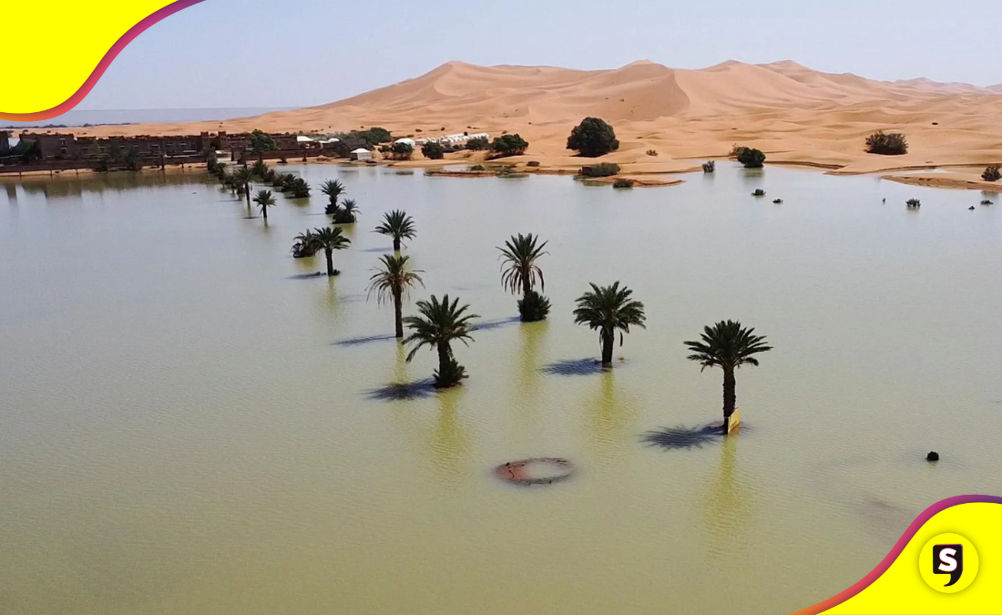 del Sahara