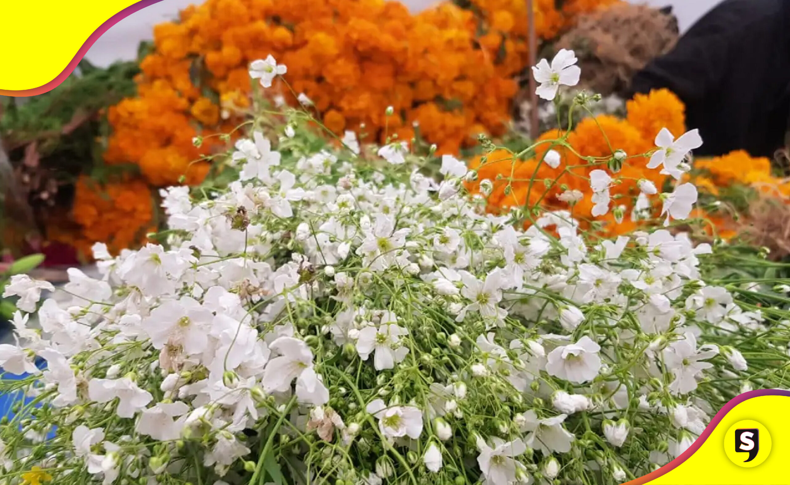 flores Día de Muertos