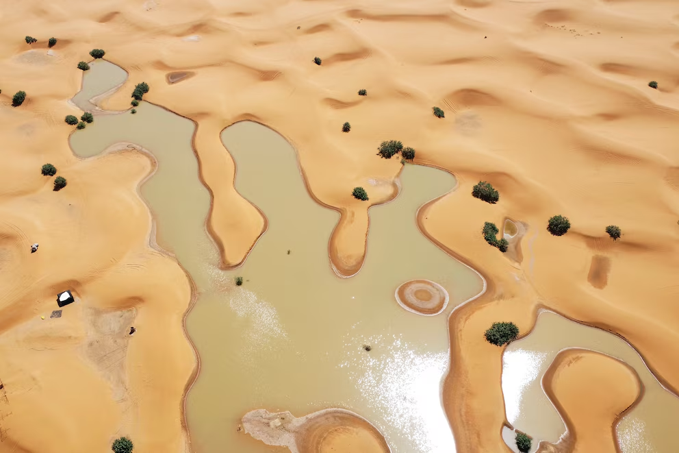 del Sahara