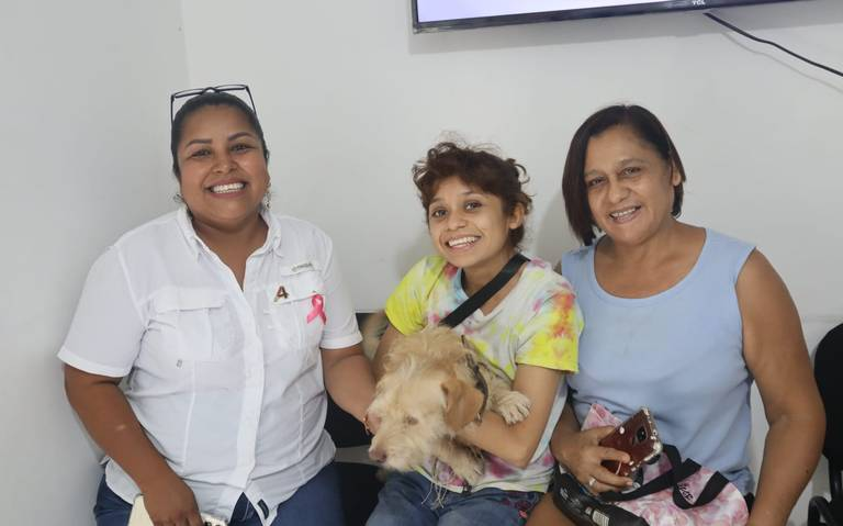 perrito