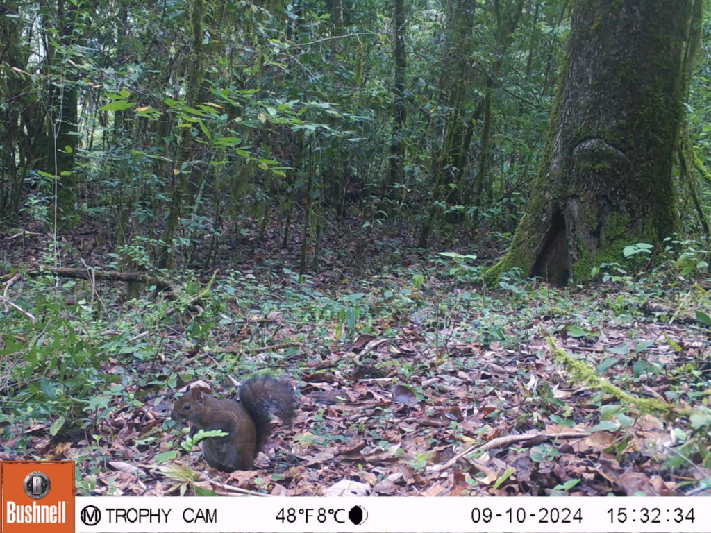biodiversidad