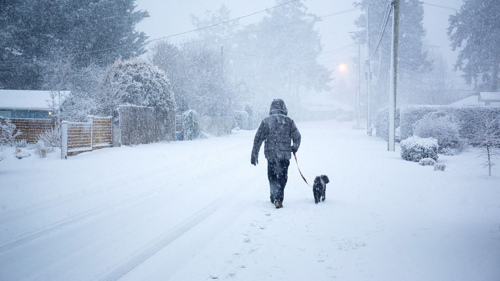 nieve