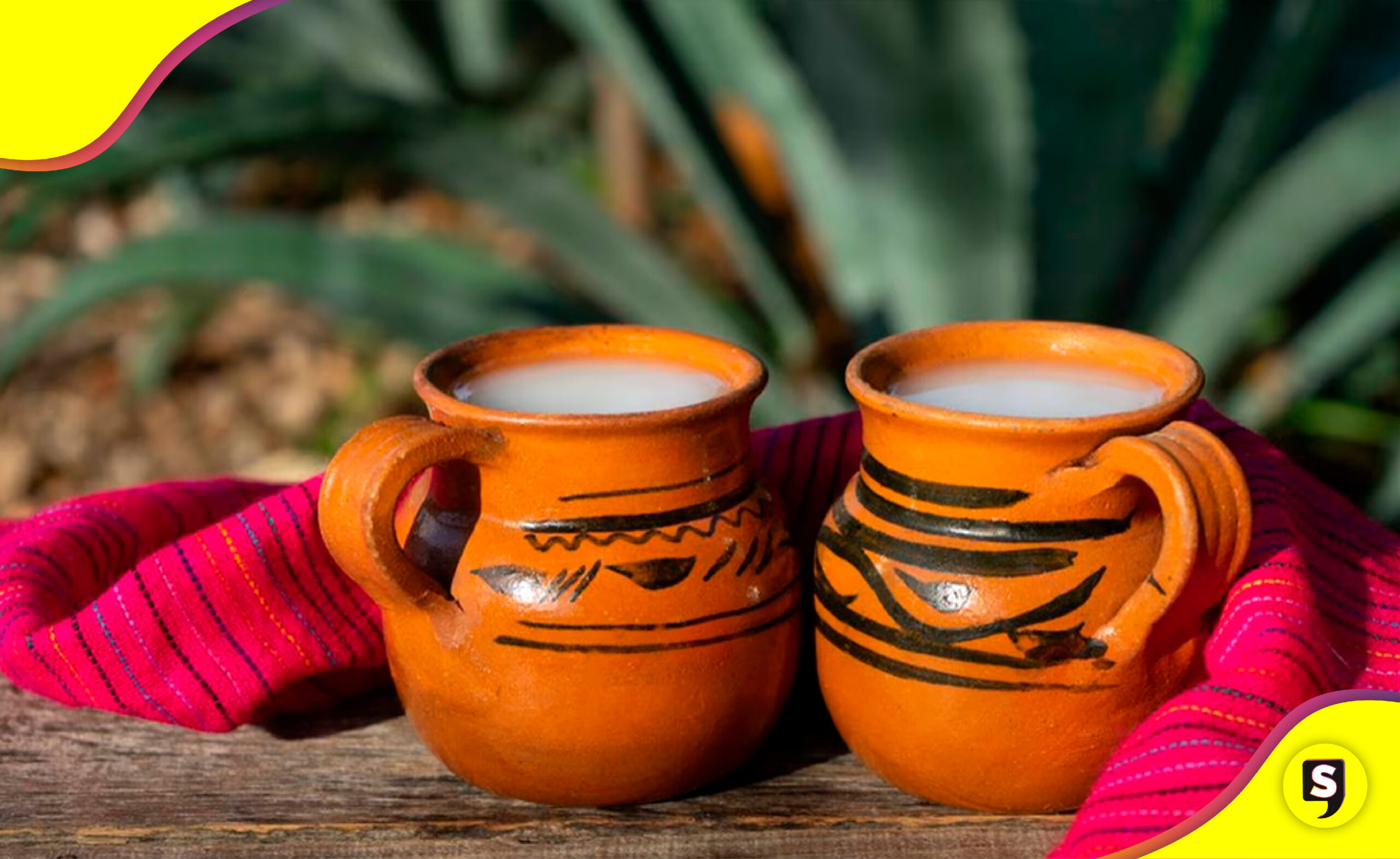 pulque patrimonio cultural CDMX