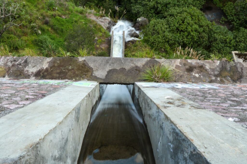 Presa Jaramillo