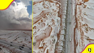 ¿Cómo fue la primera nevada en el desierto de Al-Jawf?