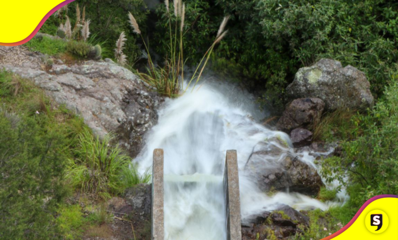 Presa Jaramillo