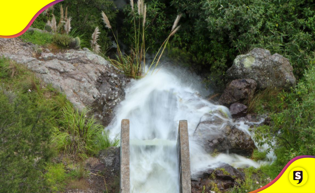 Presa Jaramillo