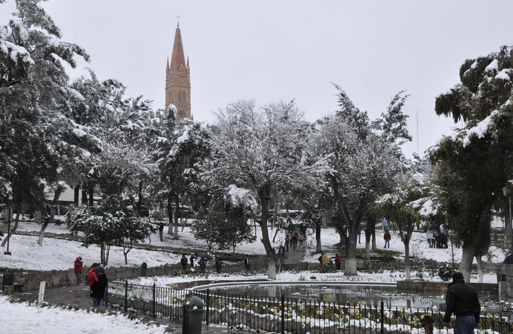 nieve