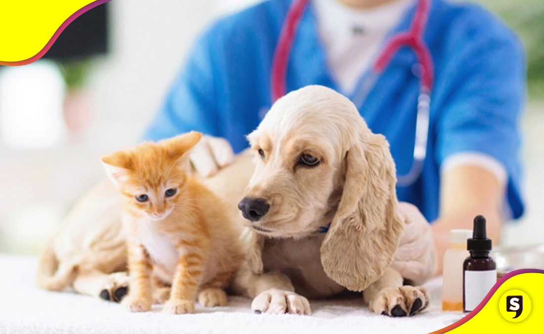 esterilización