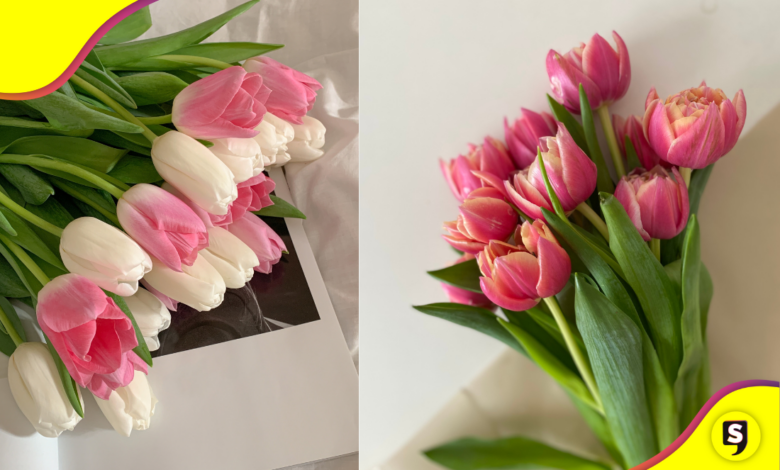 ¿Te regalaron tulipanes en viernes 13? Esto significa.
