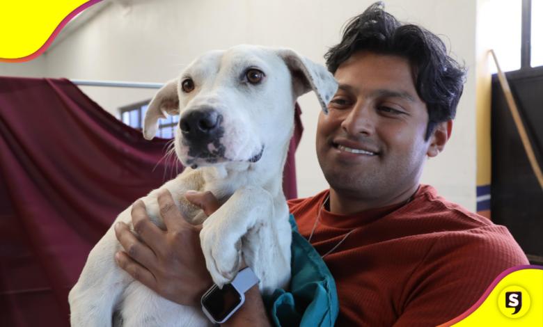 esterilización