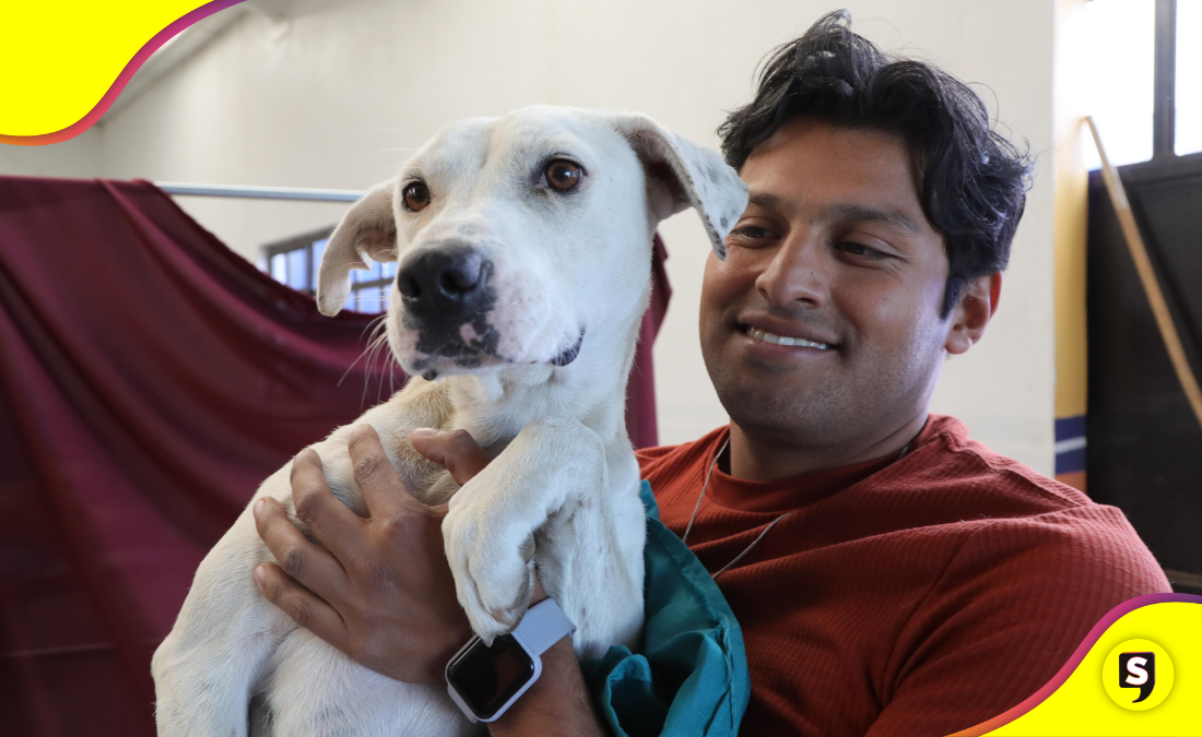 esterilización