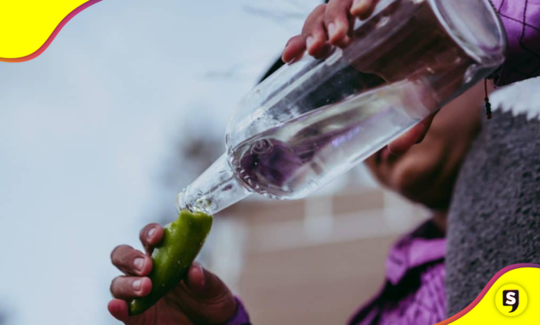 Mezcal Fest