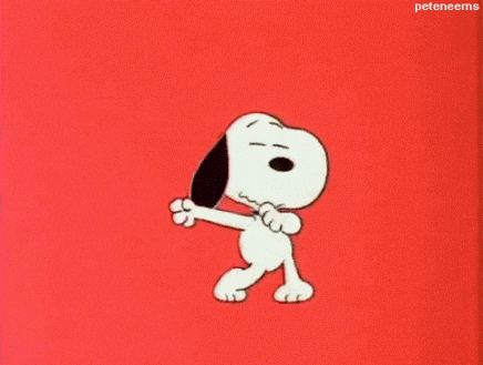 perritos