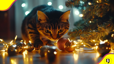 de Navidad