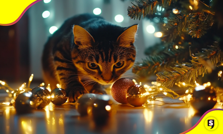 de Navidad