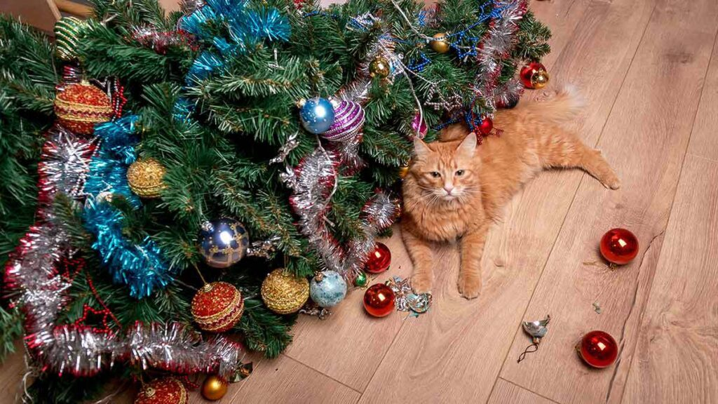 de Navidad