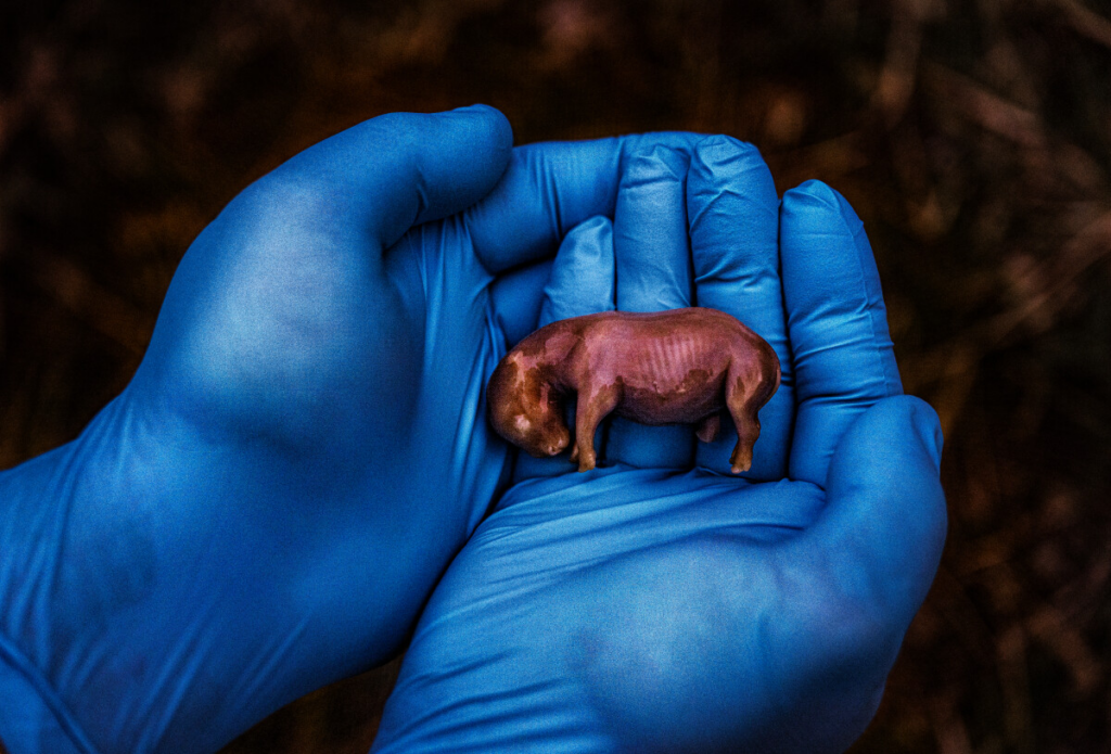 National Geographic