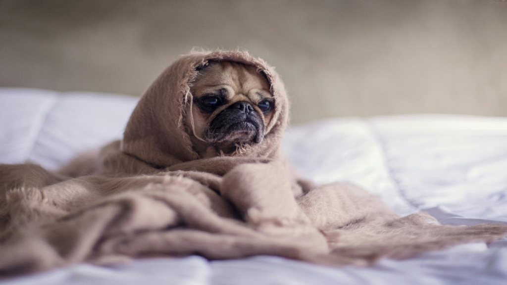 tristeza