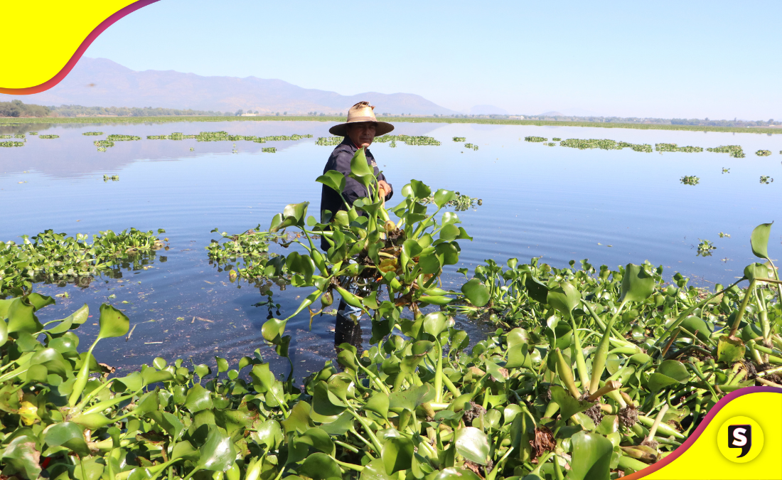 Endhó