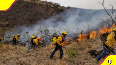 incendios forestales