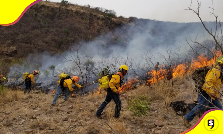 incendios forestales