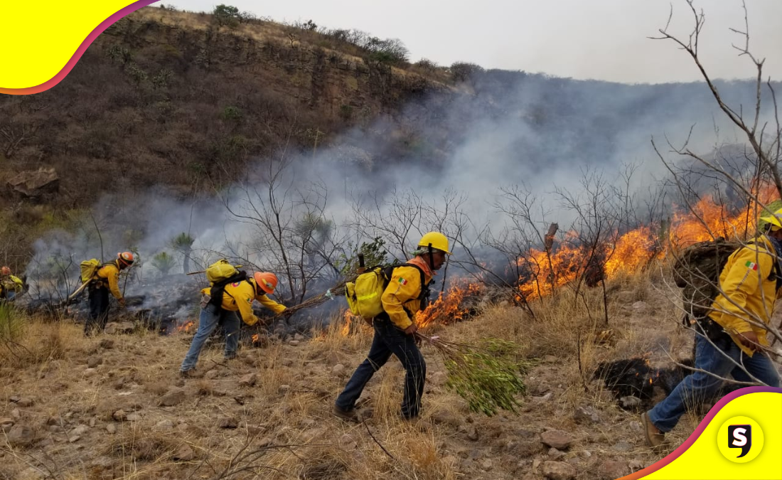 incendios forestales