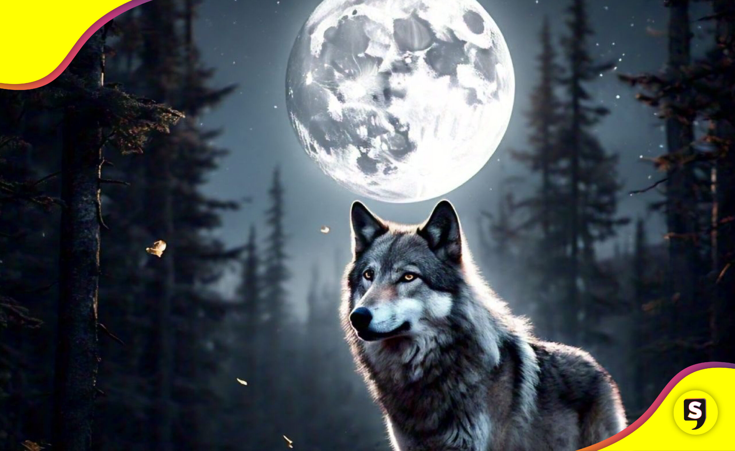 Luna de lobo 2025