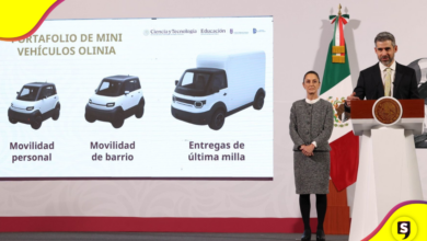 Olinia
