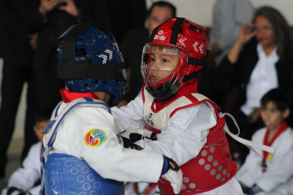 taekwondo