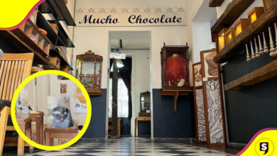 Museo de chocolate donde la moda y el cacao crean arte.