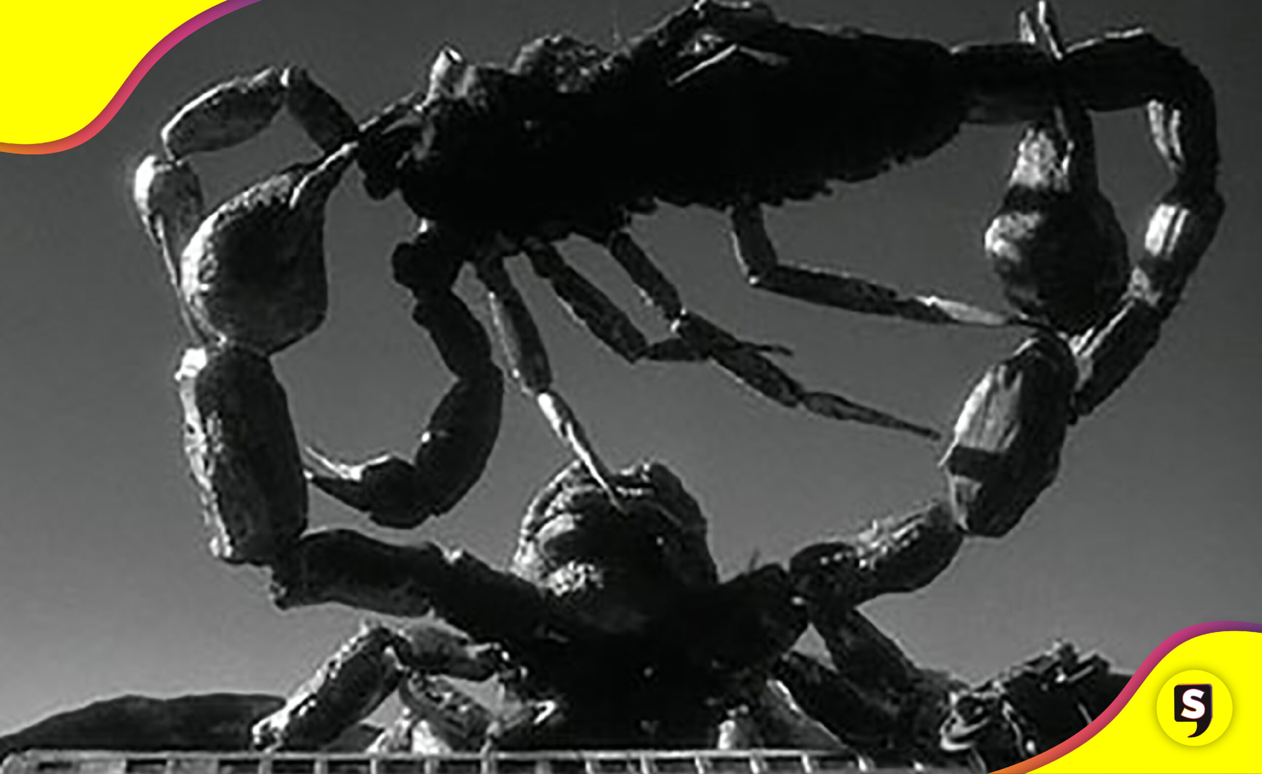 The Black Scorpion