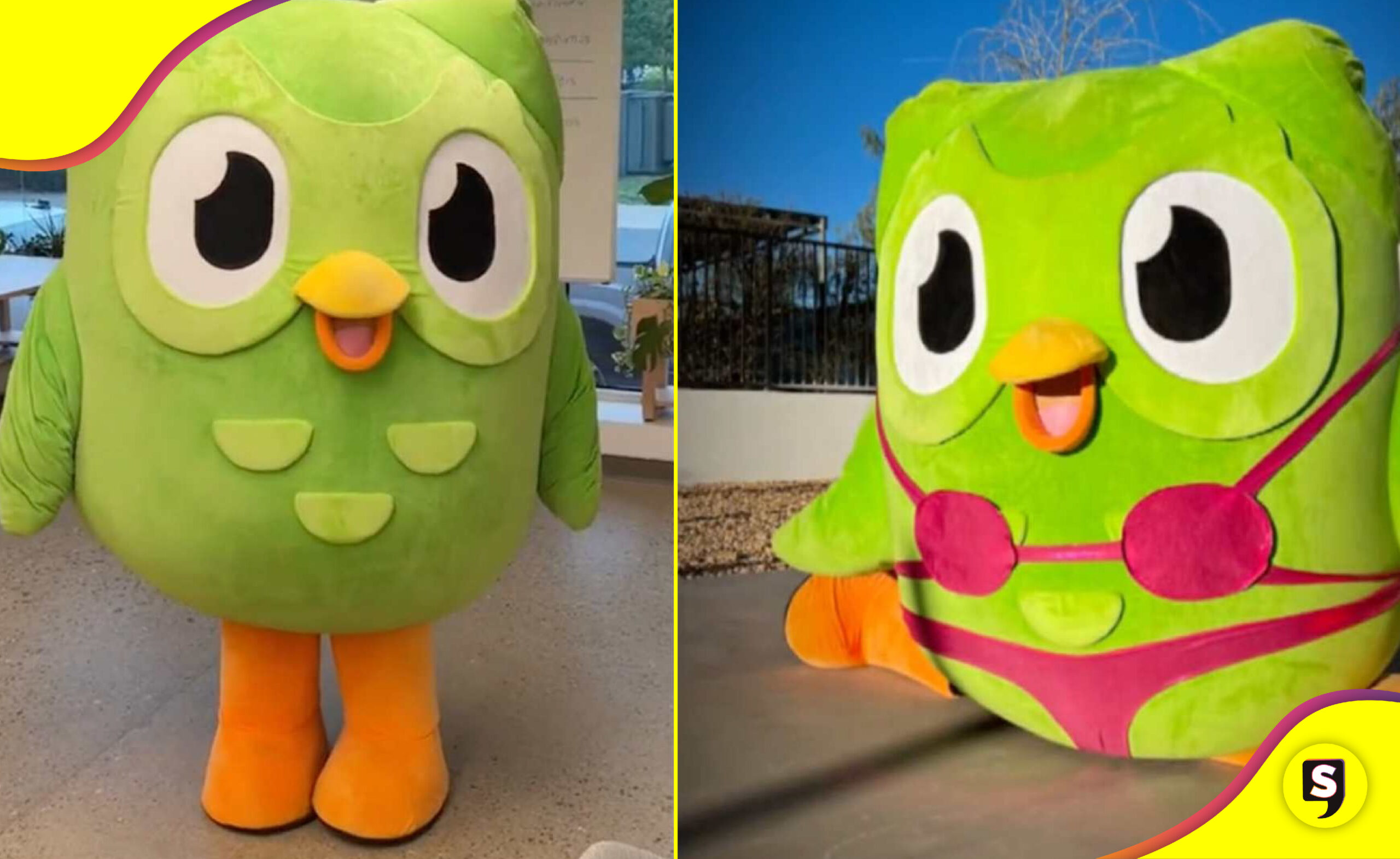 muerte Duo Duolingo