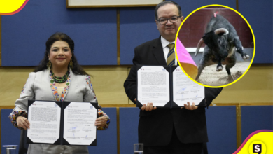 Gobierno de la CDMX propone corridas de toros, pero sin violencia