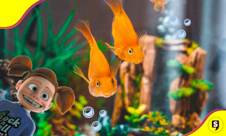 ¡Amigo del agua! Animales acuáticos que podrían ser tu mascota ideal.