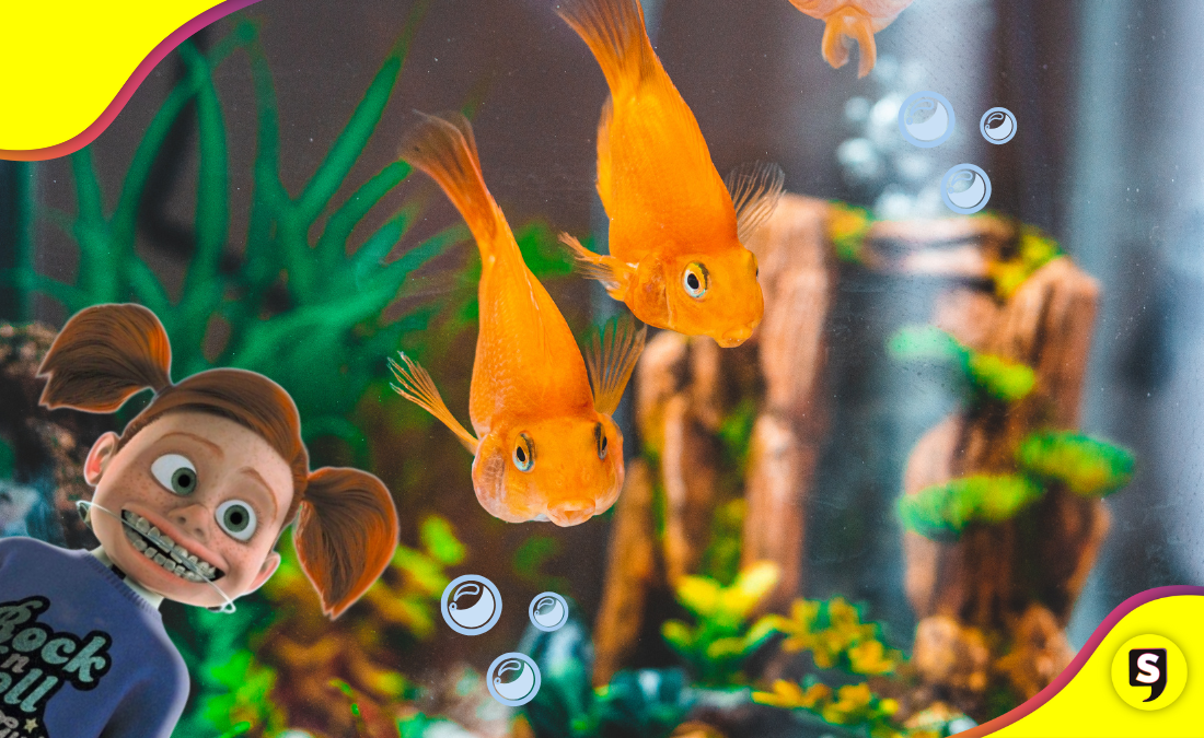 ¡Amigo del agua! Animales acuáticos que podrían ser tu mascota ideal.