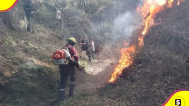 Foto: Juan Manuel de la Rosa