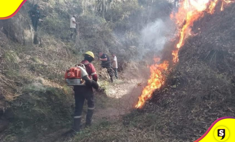 Foto: Juan Manuel de la Rosa