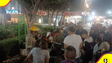 Descubre cómo rescataron a un tecolote en Tulancingo. Conoce su importancia ecológica y los detalles de su recuperación en el Zoológico Municipal.