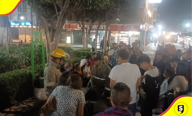 Descubre cómo rescataron a un tecolote en Tulancingo. Conoce su importancia ecológica y los detalles de su recuperación en el Zoológico Municipal.