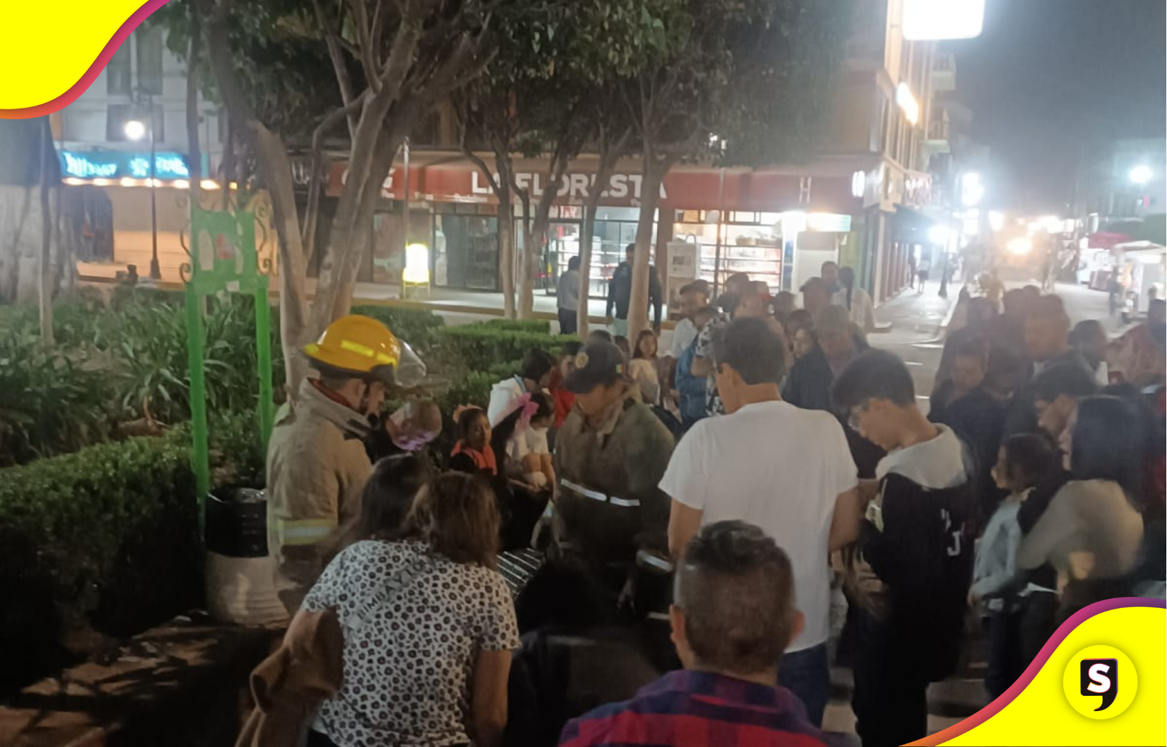 Descubre cómo rescataron a un tecolote en Tulancingo. Conoce su importancia ecológica y los detalles de su recuperación en el Zoológico Municipal.