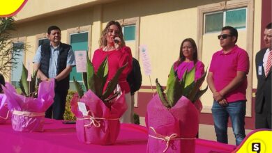Tulancingo honra a dos mujeres destacadas con nuevas calles