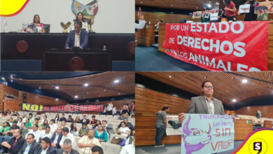 Foto: Juan Manuel de la Rosa