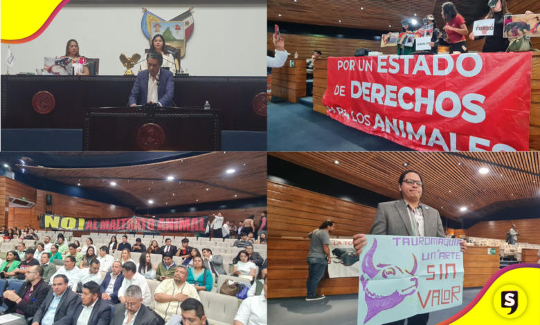 Foto: Juan Manuel de la Rosa