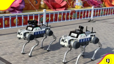 perros robot