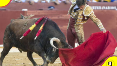 Congreso aprueba regulación de corridas de toros sin violencia en CDMX